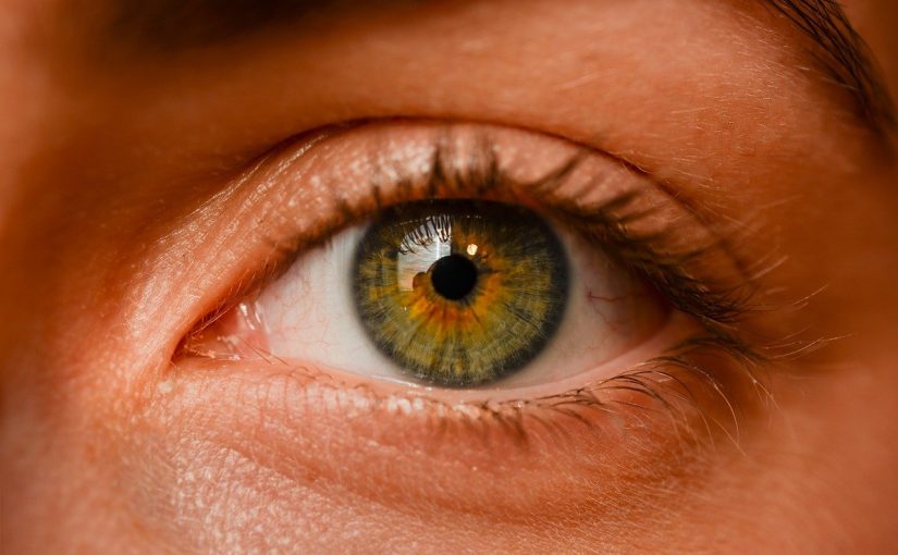 Oczy to ekstrawagancki narząd. To dokładnie dzięki nim odczuwamy.